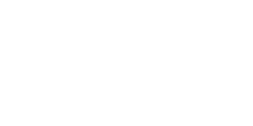 Style Agent